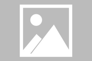 巫山幼儿园森林舞会，绿色童话中的成长之旅巫山幼儿园森林舞会图片
